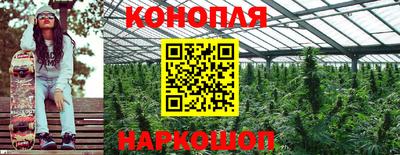 гашиш Будённовск