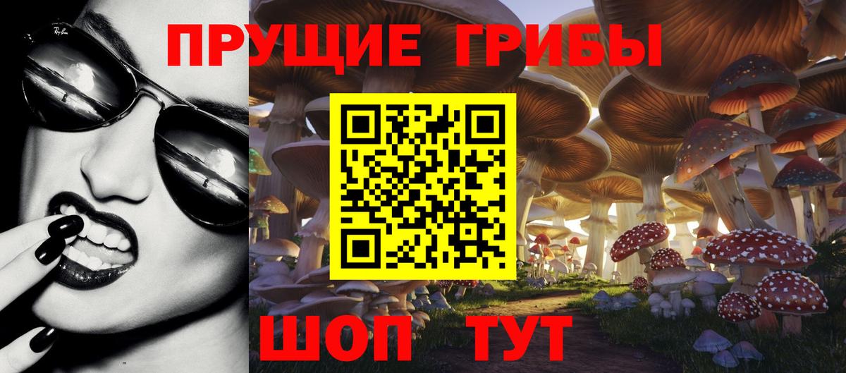 цена наркотик  Псилоцибиновые грибы Psilocybe  Вход с VPN  Биробиджан 