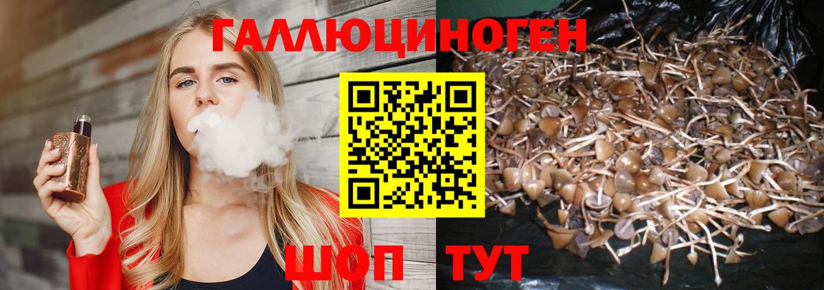 Псилоцибиновые грибы мухоморы Биробиджан